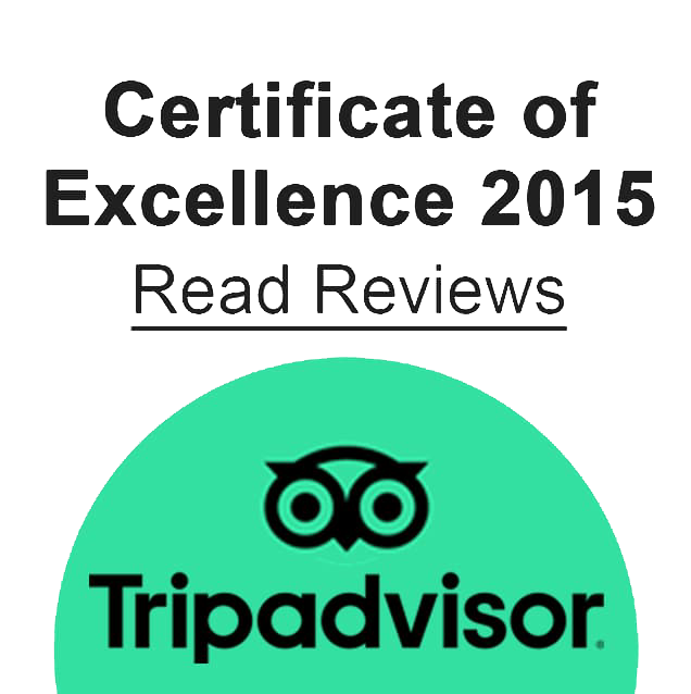 TripAdvisor 2015
