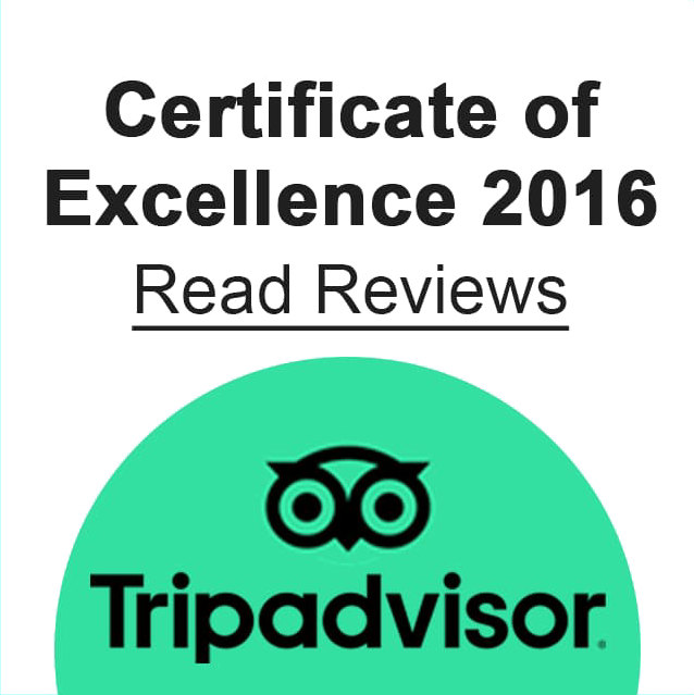 TripAdvisor 2016