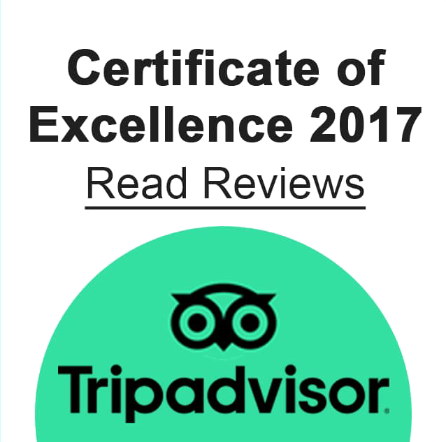 TripAdvisor 2017